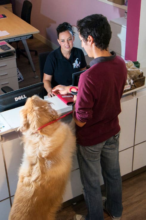 hond-aan-de-balie Vaccinaties  - Dierdorado