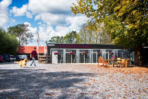 overzicht-hokken-met-hond Tarieven Kattenhotel - Dierdorado