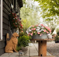 houtenhond Geboekt en dan - Dierdorado